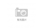 二代发布 推动墨水屏向全能办公终端进化P